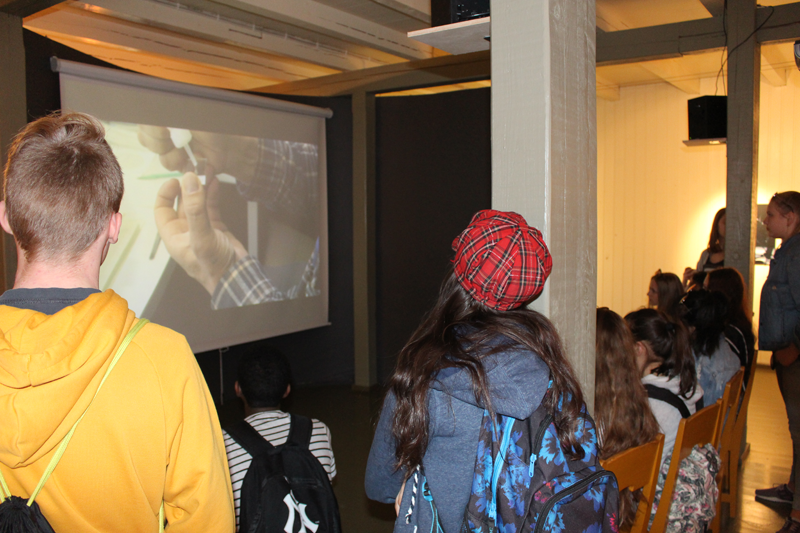 Site-specific Research Nature. Kevo Subarctic Research Institute Utsjoki, Finland.
  Exhibition: 60 years of Kevo, multidisciplinary exhibition, Liedon Vanhalinna, University of Turku (Finland), 29.11.2017 – 20.05.2018,
  exhibition view: Young visitors watching the video (Kirsten Kötter)